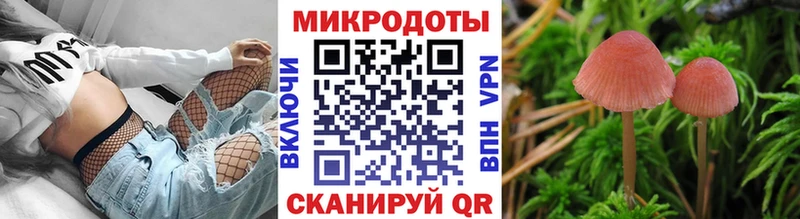 как найти   Кадников  Псилоцибиновые грибы GOLDEN TEACHER 